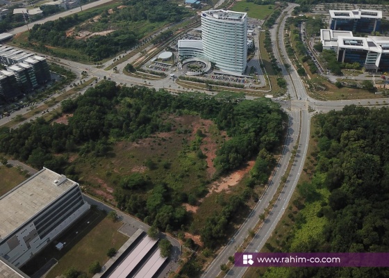 Bkt Jelutong