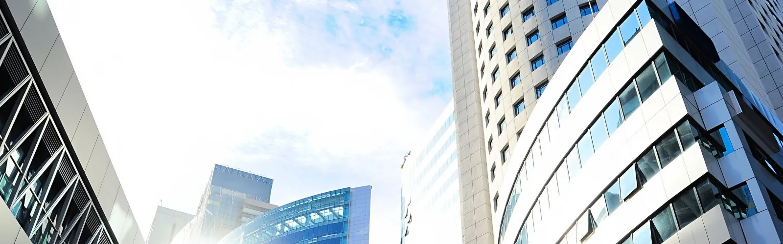 Default Banner